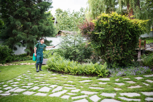 Best Lawn Disease Treatment  in Pearisburg, VA