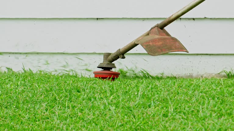 Best Lawn Maintenance Plans  in Pearisburg, VA
