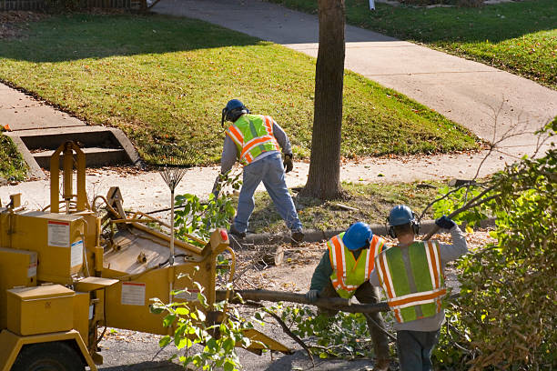 Pearisburg, VA Tree Services Company